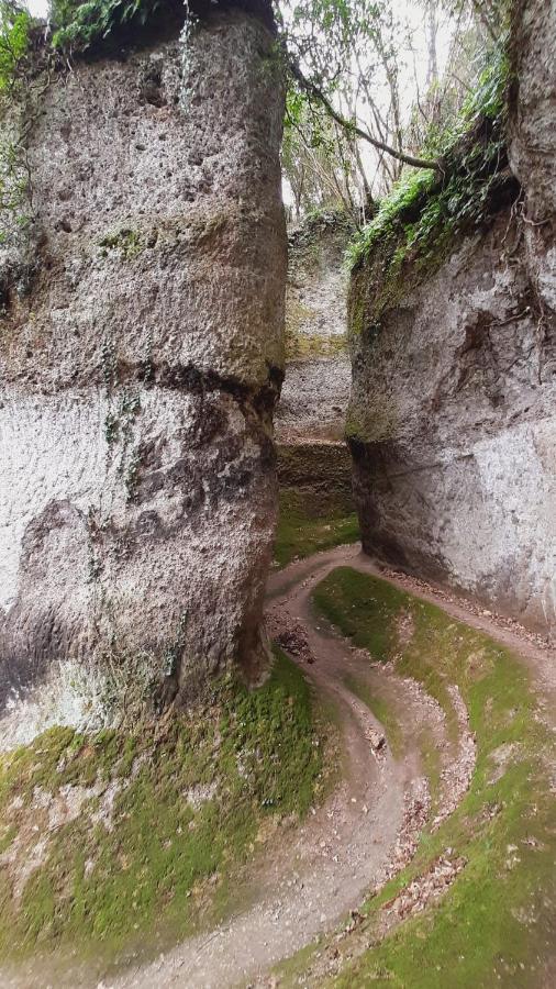 A * Pitigliano